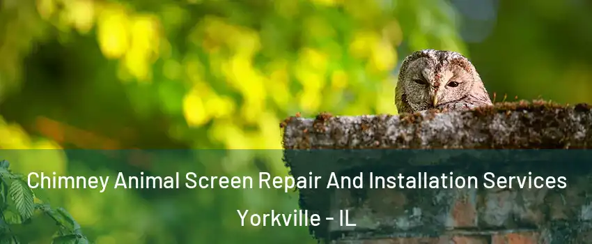 Chimney Animal Screen Repair And Installation Services Yorkville - IL