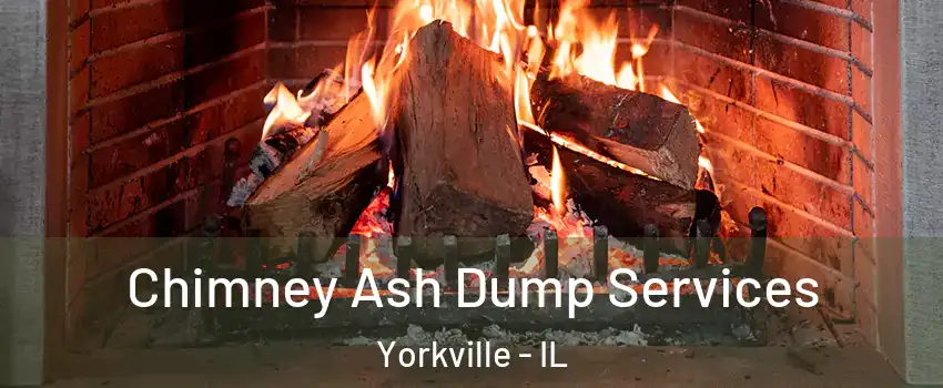 Chimney Ash Dump Services Yorkville - IL
