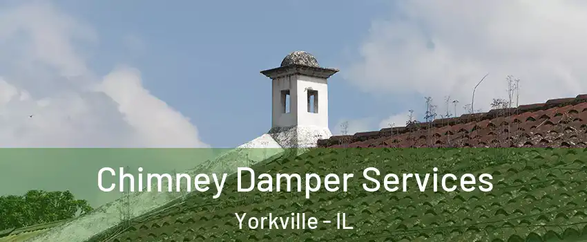  Chimney Damper Services Yorkville - IL