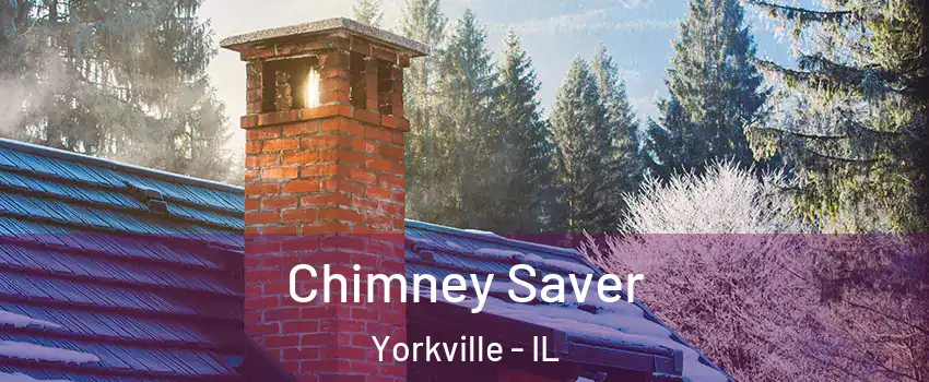  Chimney Saver Yorkville - IL