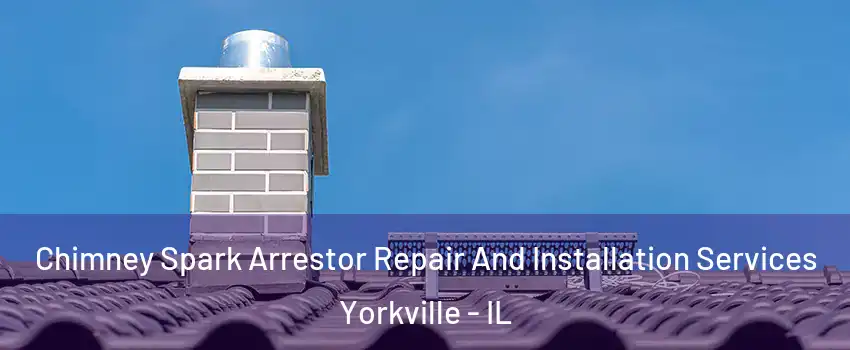  Chimney Spark Arrestor Repair And Installation Services Yorkville - IL
