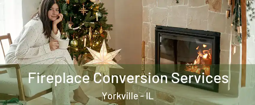  Fireplace Conversion Services Yorkville - IL