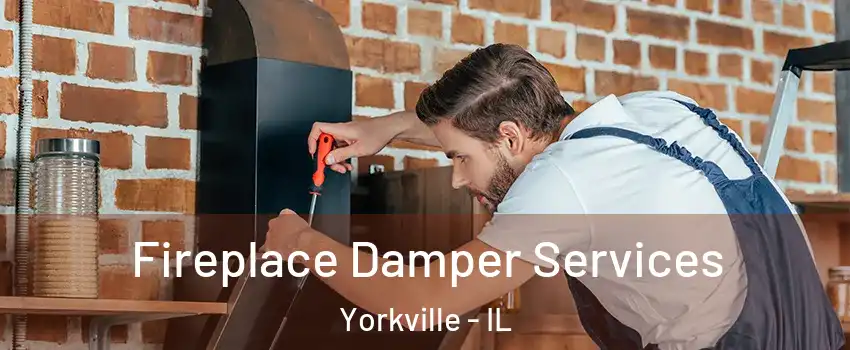  Fireplace Damper Services Yorkville - IL