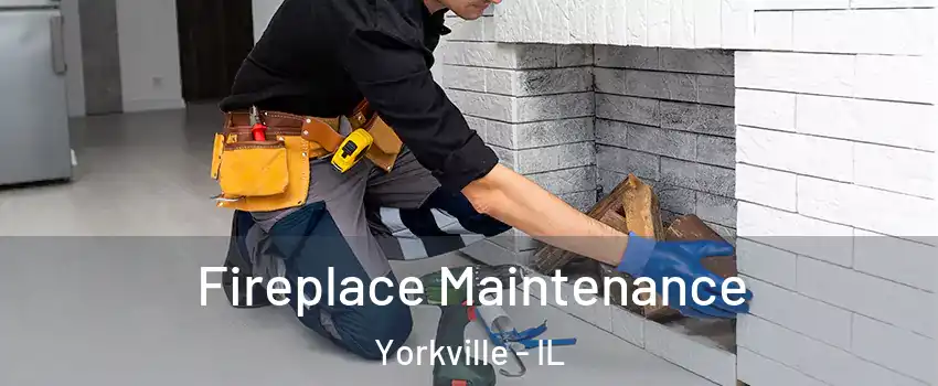  Fireplace Maintenance Yorkville - IL