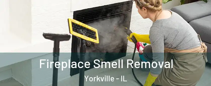  Fireplace Smell Removal Yorkville - IL