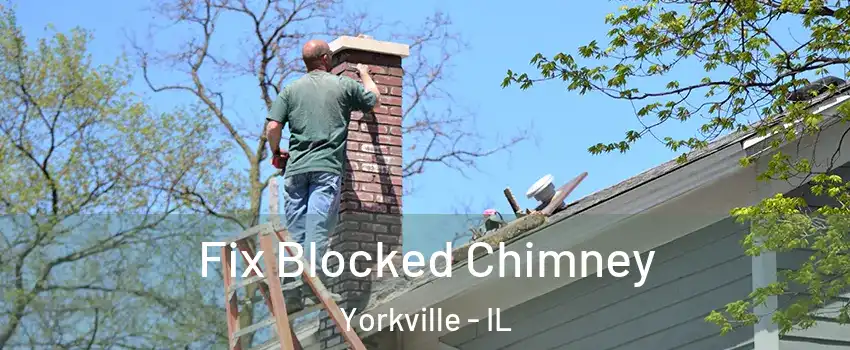  Fix Blocked Chimney Yorkville - IL