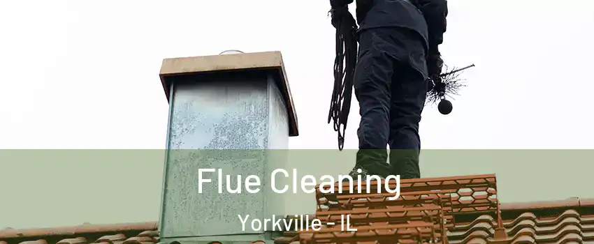  Flue Cleaning Yorkville - IL