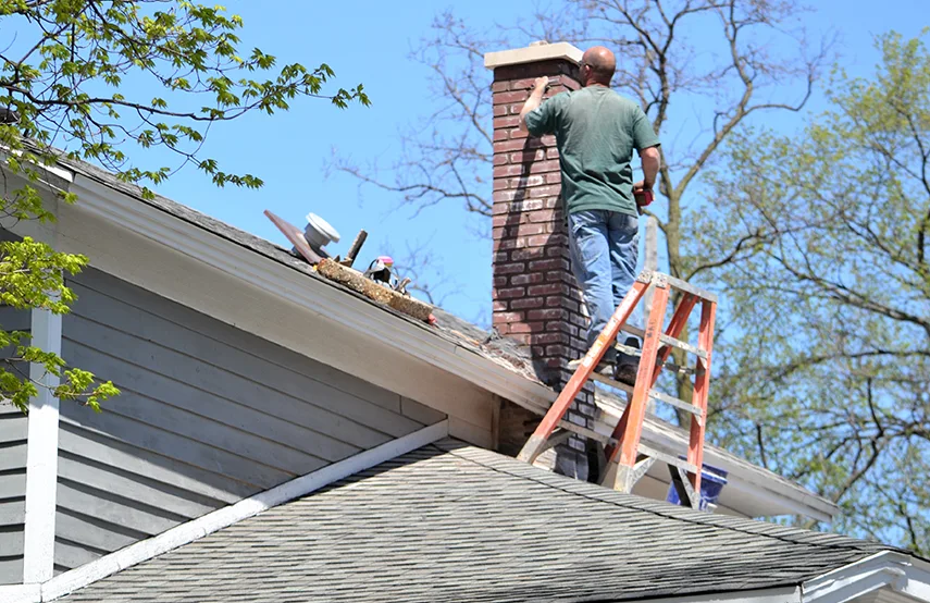 Chimney & Fireplace Inspections Services in Yorkville, IL