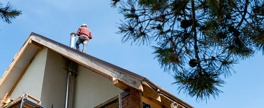 Birds Removal Contractors from Chimney in Yorkville, IL
