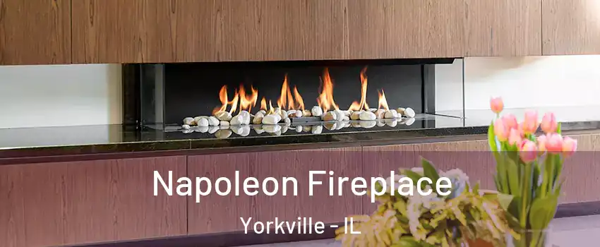  Napoleon Fireplace Yorkville - IL